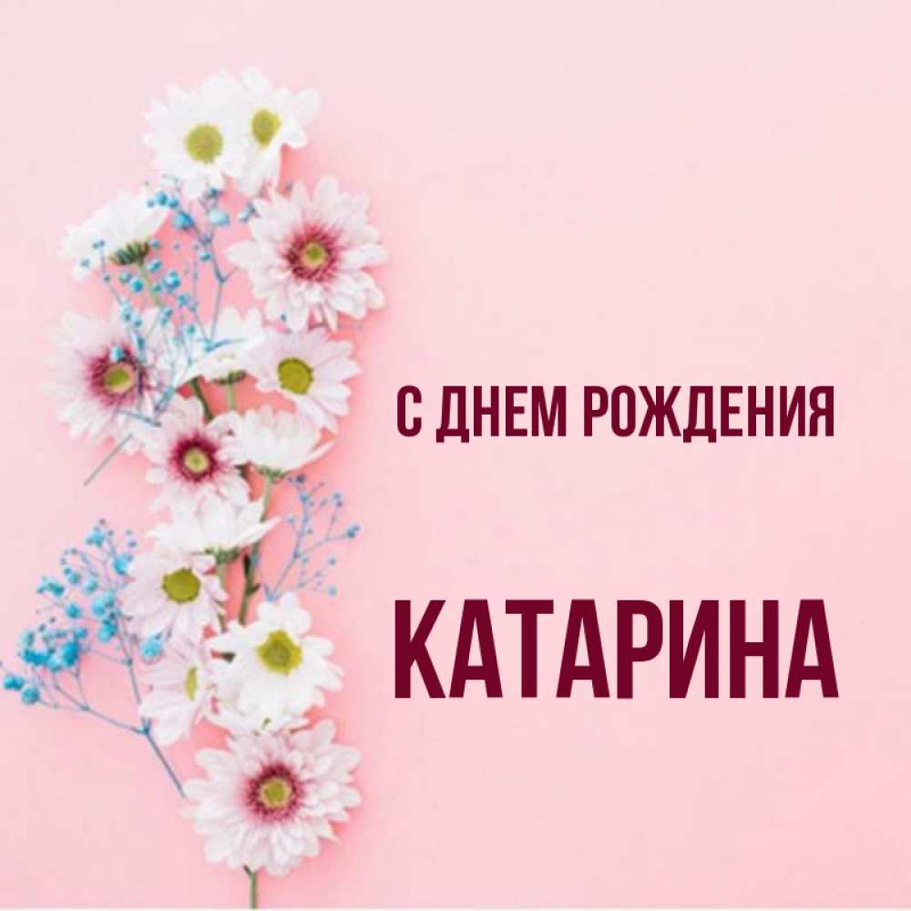 Катарина с днем рождения картинки