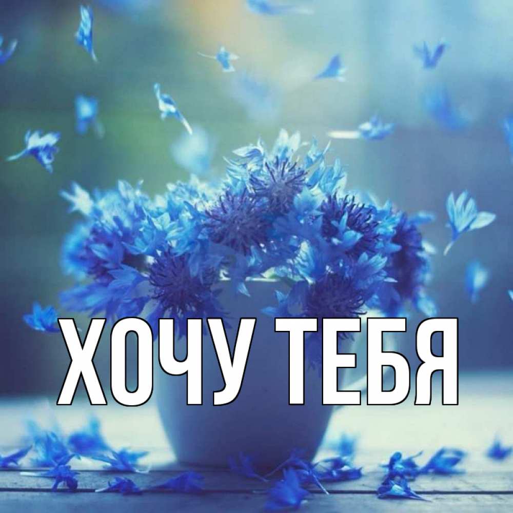 Открытка на каждый день с именем, Хочу-тебя Главная кружка с зельем и цветами Прикольная открытка с пожеланием онлайн скачать бесплатно 