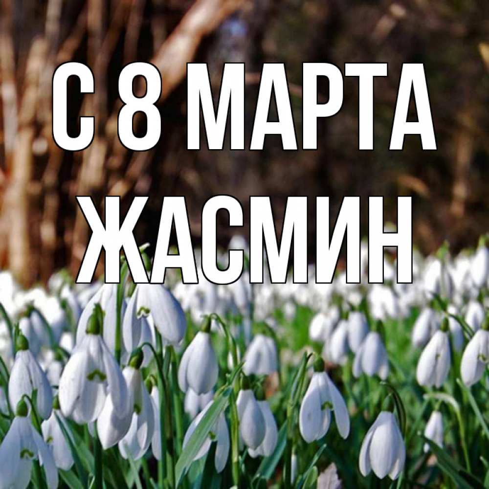 Открытка на каждый день с именем, Жасмин С 8 марта с подснежниками 1 Прикольная открытка с пожеланием онлайн скачать бесплатно 