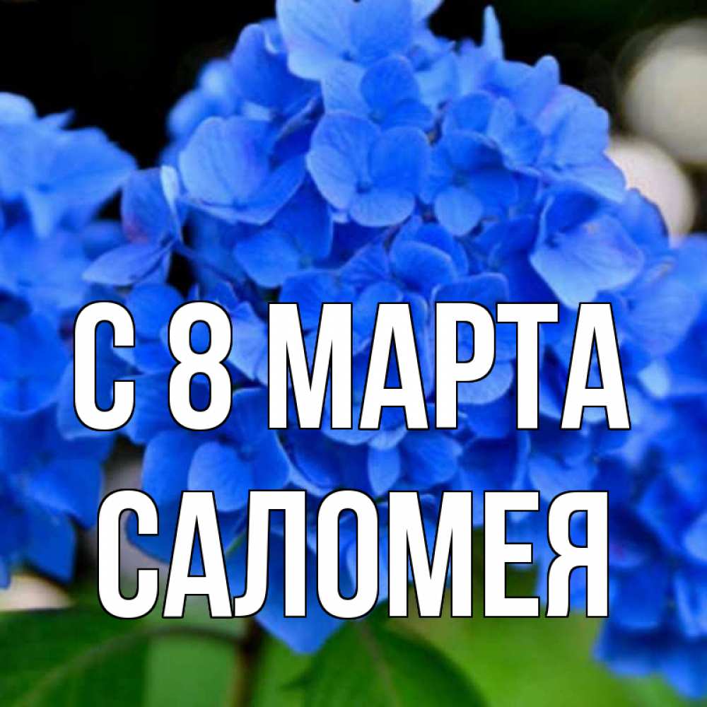 Картинка С 8 марта, Саломея