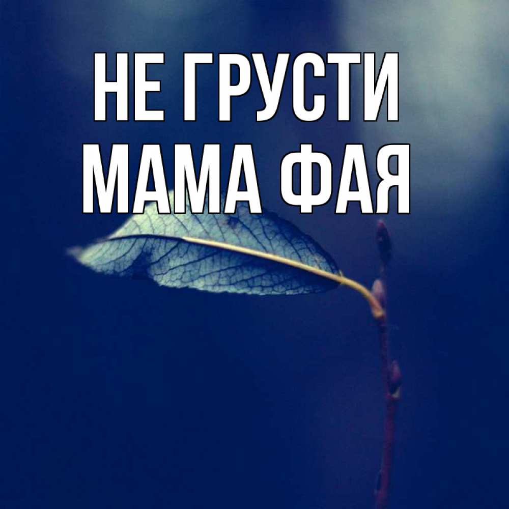 Открытка на каждый день с именем, Мама-Фая Не грусти растение Прикольная открытка с пожеланием онлайн скачать бесплатно 