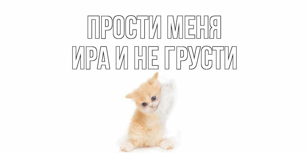 Включи не прощен. Включи не прощен