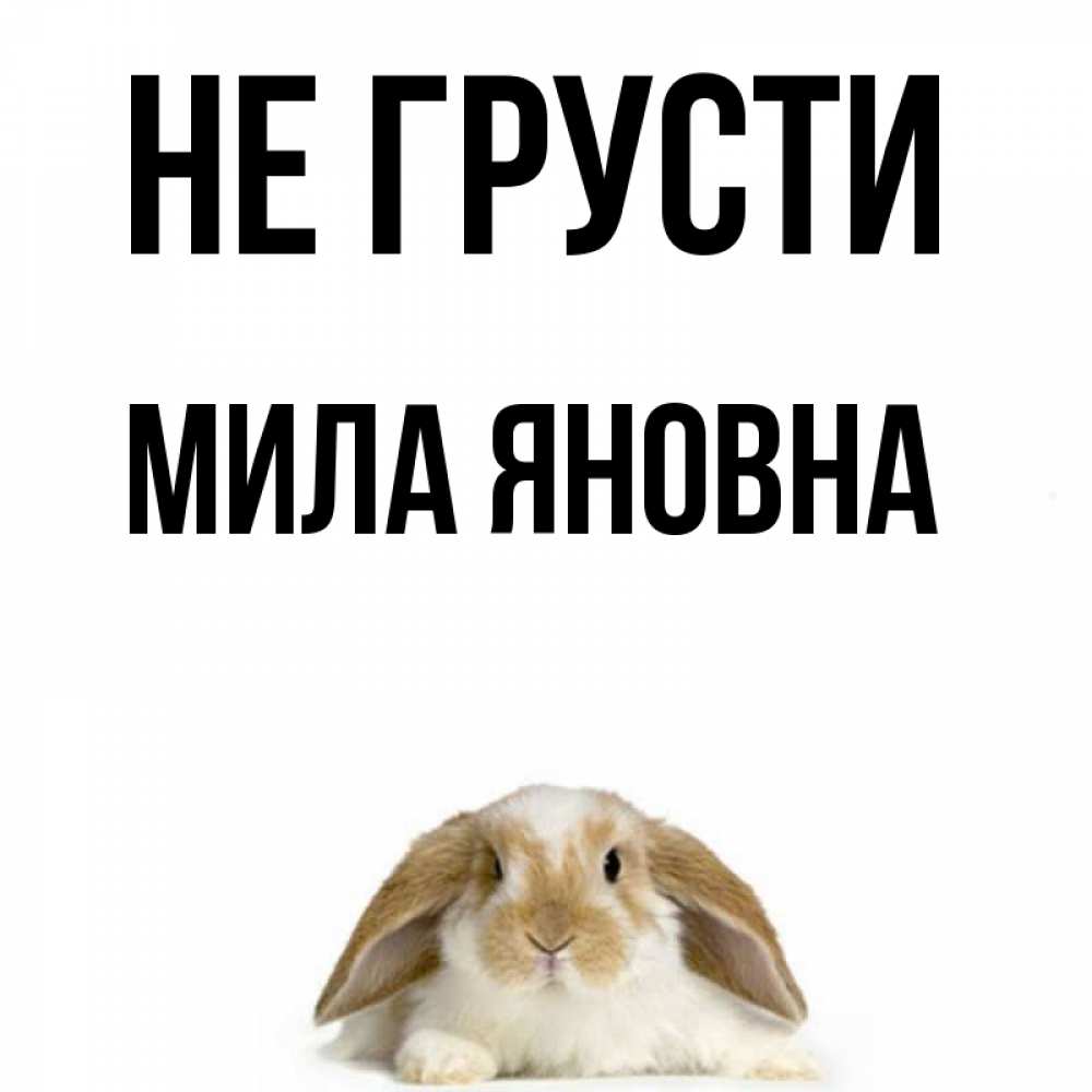 Мило не грусти