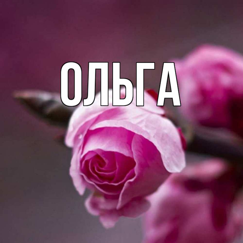 Ольга фото имени