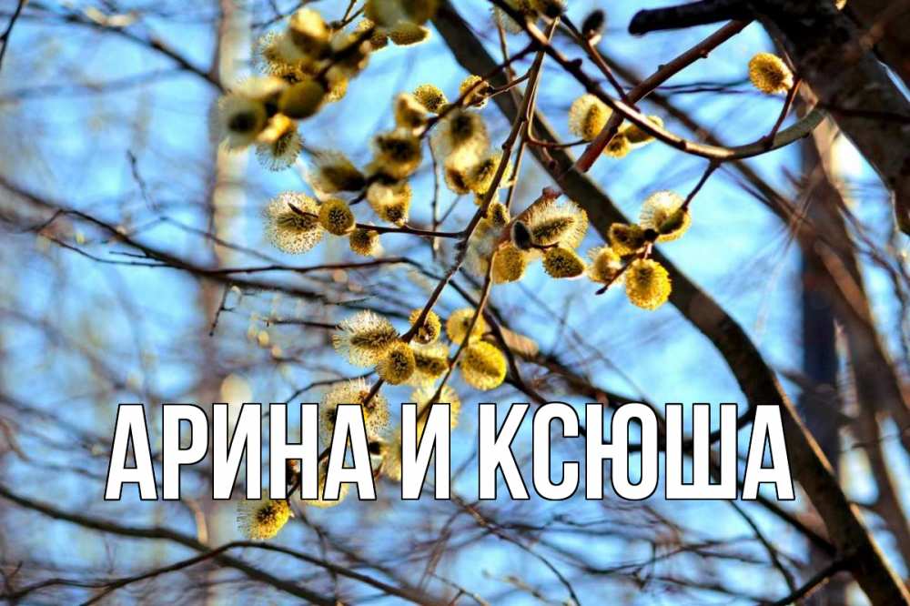 Открытка на каждый день с именем, Арина-и-Ксюша Главная верба Прикольная открытка с пожеланием онлайн скачать бесплатно 