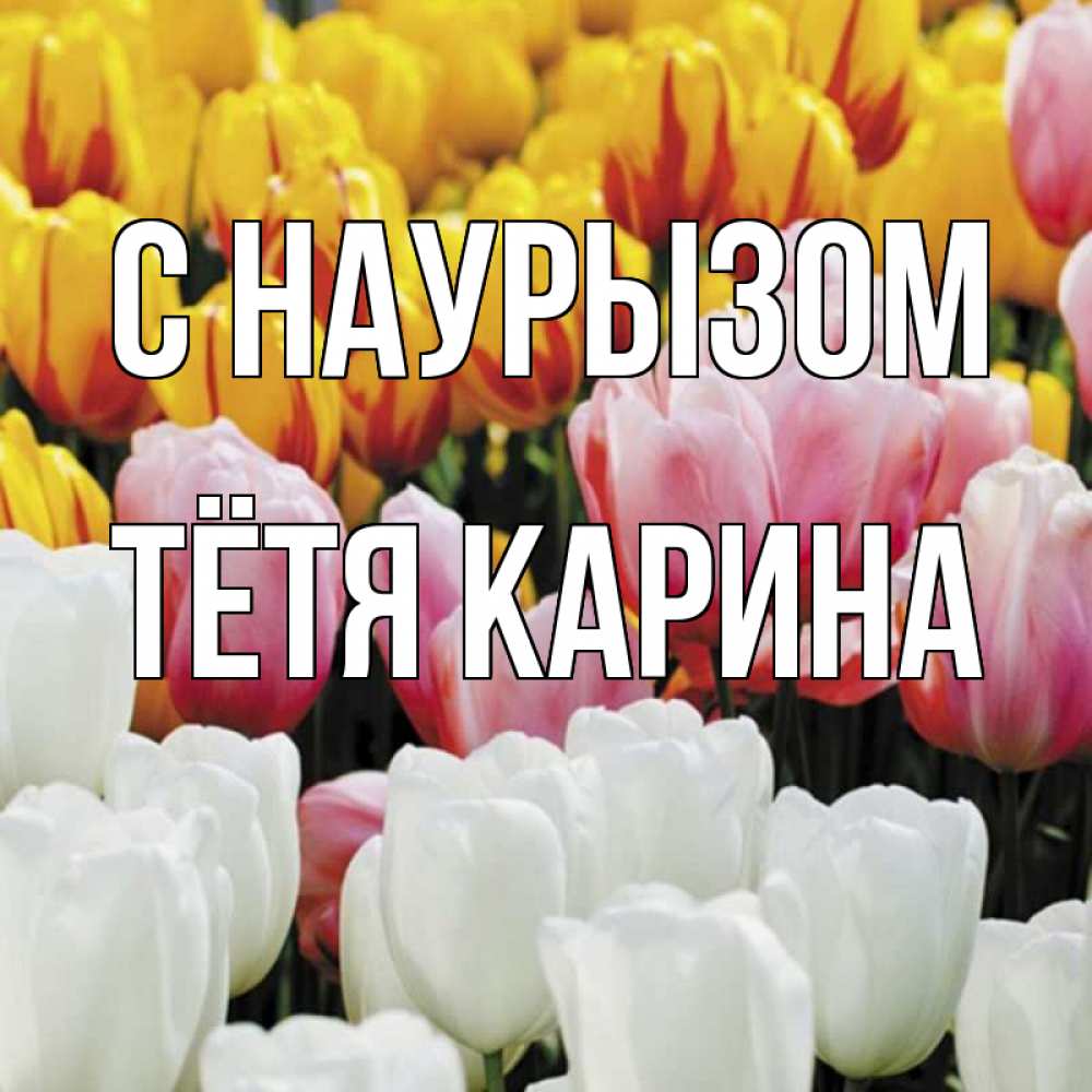 Открытка на каждый день с именем, Тётя-Карина С наурызом разноцветные цветы Прикольная открытка с пожеланием онлайн скачать бесплатно 