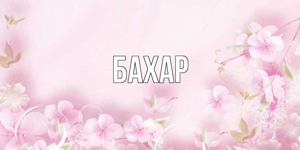 Картинка  с именем , Бахар