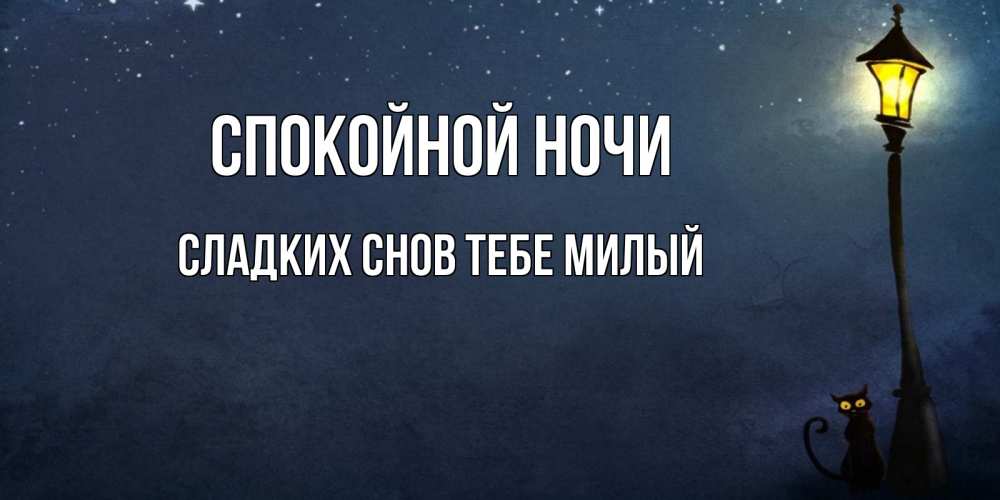Картинка Спокойной ночи,  сладких снов тебе милый