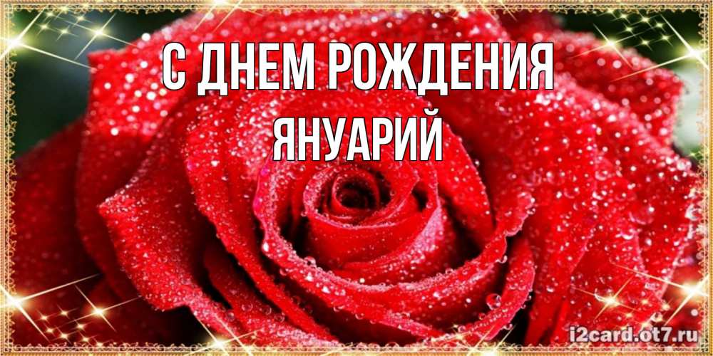 Открытка на каждый день с именем, Януарий С днем рождения роса и роза. открытка с красивой розой Прикольная открытка с пожеланием онлайн скачать бесплатно 