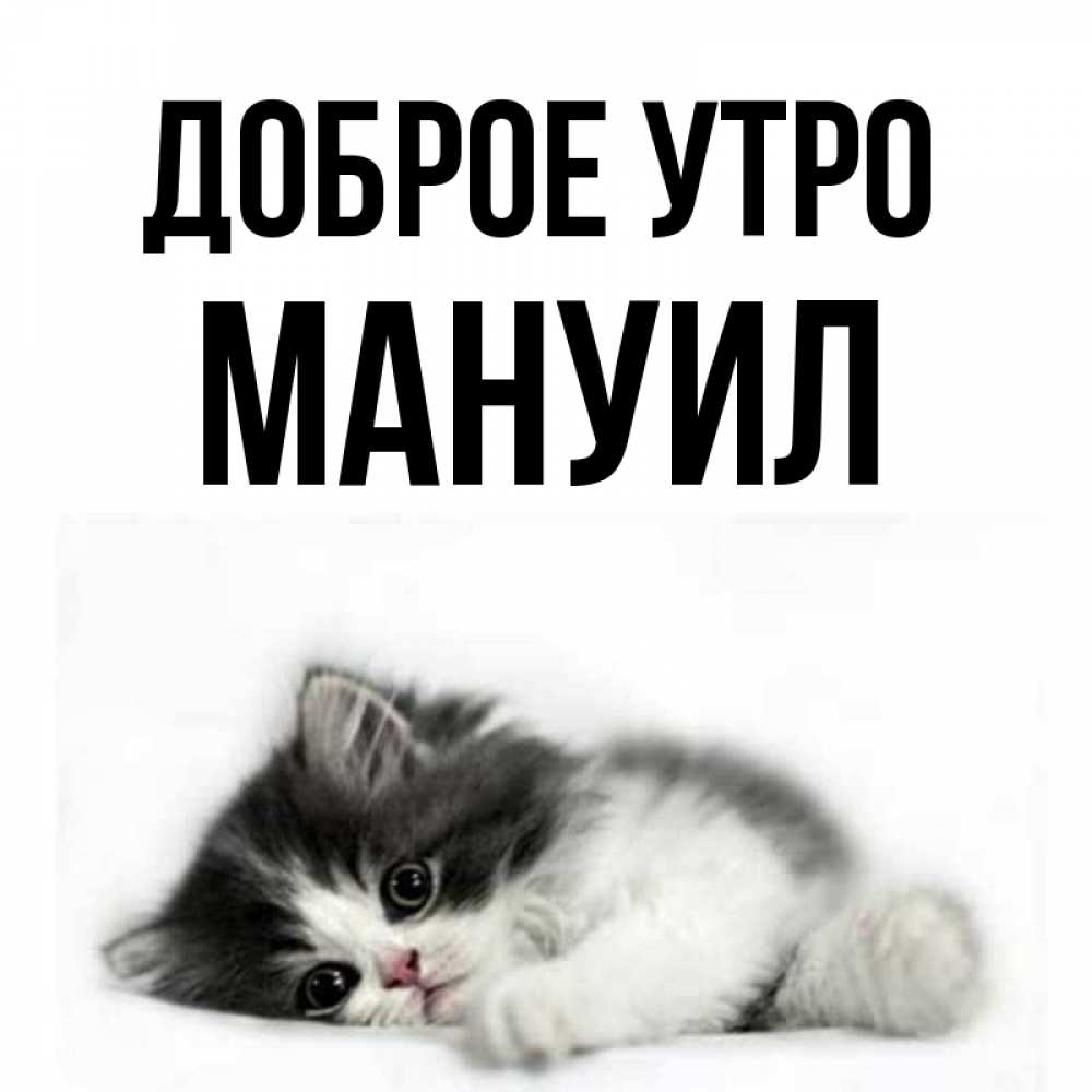Открытка на каждый день с именем, Мануил Доброе утро кот лапки Прикольная открытка с пожеланием онлайн скачать бесплатно 