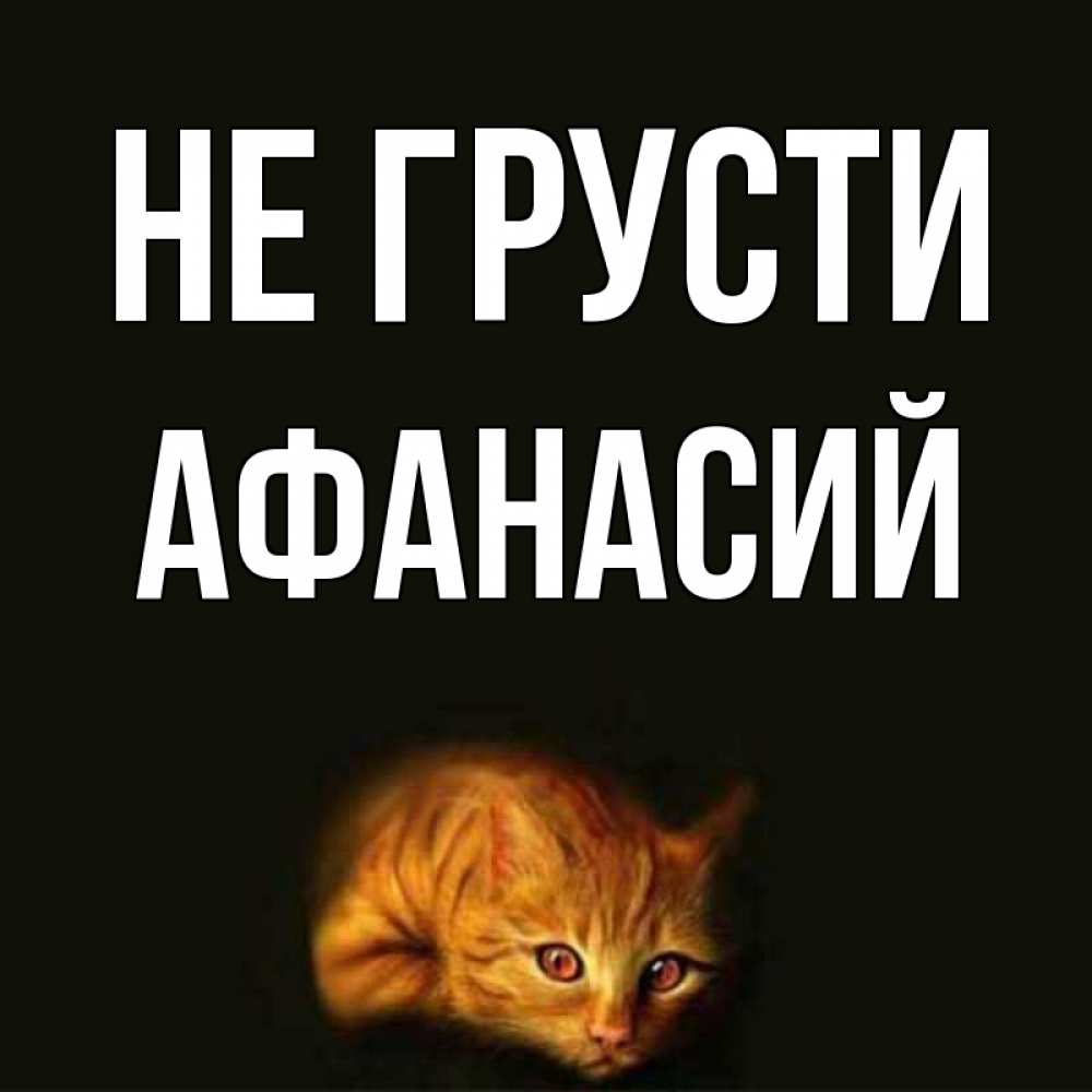 Открытка на каждый день с именем, Афанасий Не грусти лежащий кот в темноте Прикольная открытка с пожеланием онлайн скачать бесплатно 