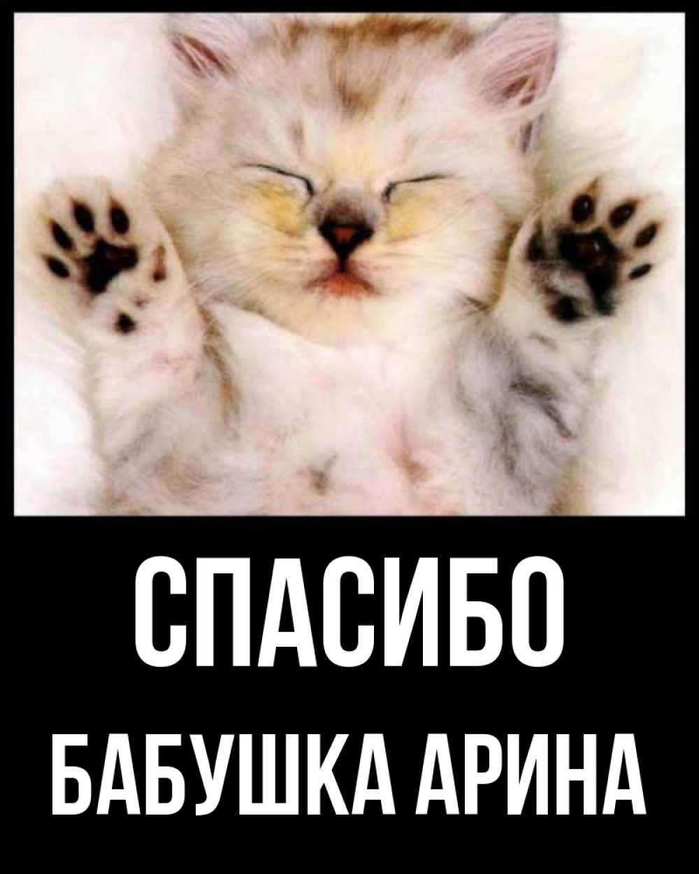 Открытка на каждый день с именем, Бабушка-Арина Спасибо маленький котенок Прикольная открытка с пожеланием онлайн скачать бесплатно 