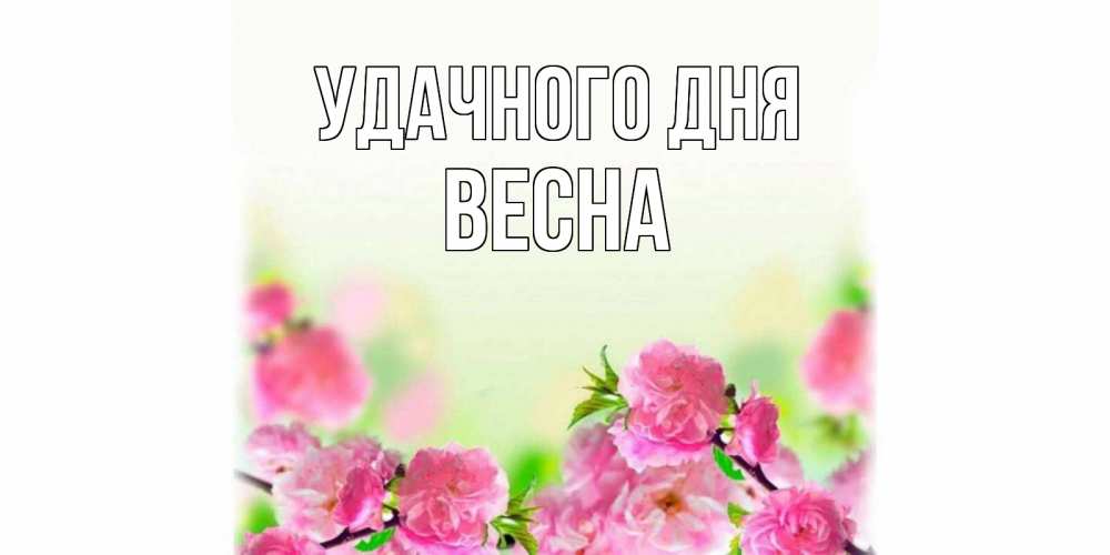 Открытка на каждый день с именем, Весна Удачного дня цветы Прикольная открытка с пожеланием онлайн скачать бесплатно 