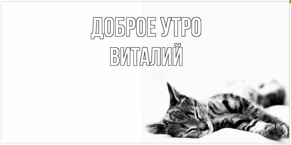 Открытка на каждый день с именем, Виталий Доброе утро котуся Прикольная открытка с пожеланием онлайн скачать бесплатно 