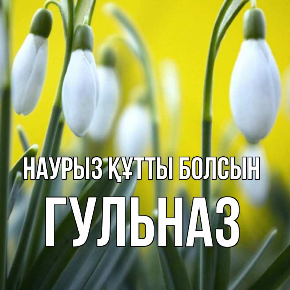 Открытка на каждый день с именем, Гульназ Наурыз құтты болсын весенние цветы Прикольная открытка с пожеланием онлайн скачать бесплатно 