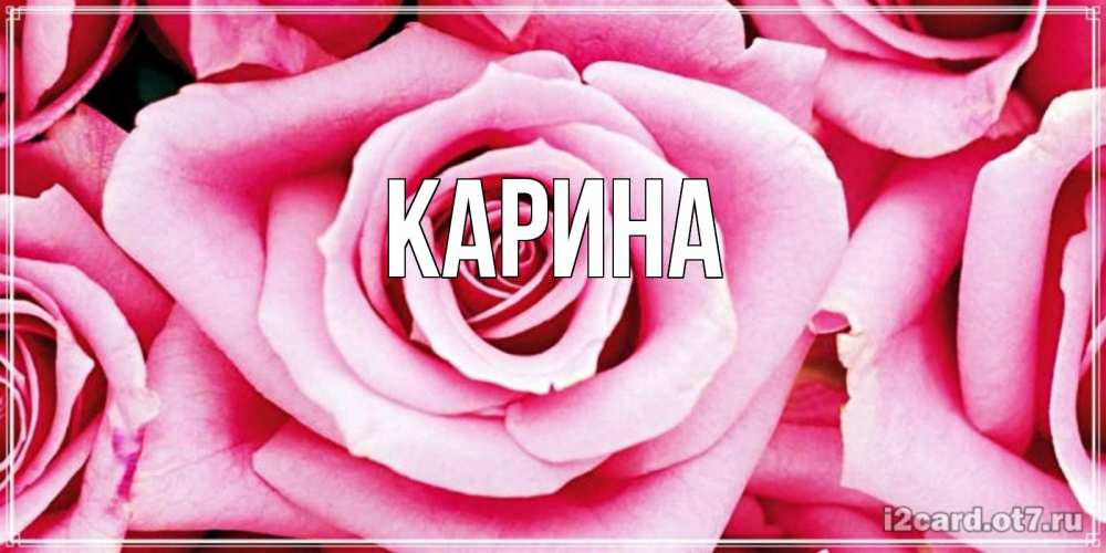 Открытка на каждый день с именем, Карина Главная роза розовая на день Святого Валентина Прикольная открытка с пожеланием онлайн скачать бесплатно 