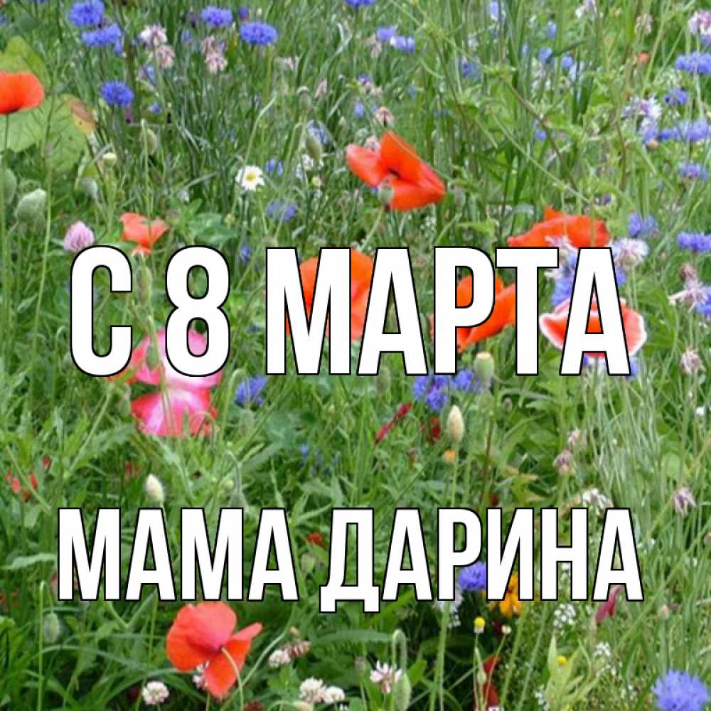 Открытка на каждый день с именем, Мама-Дарина С 8 МАРТА международный женский день 4 Прикольная открытка с пожеланием онлайн скачать бесплатно 