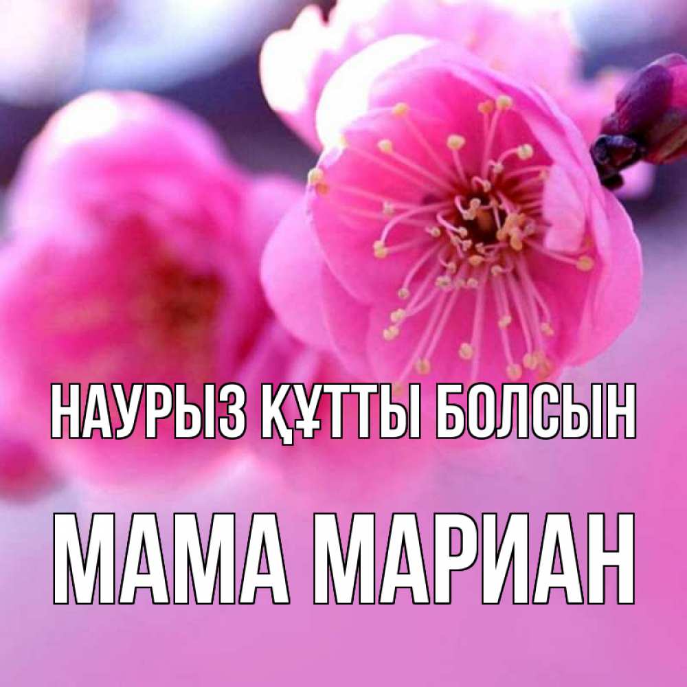 Открытка на каждый день с именем, Мама-Мариан Наурыз құтты болсын наурыз мейрам Прикольная открытка с пожеланием онлайн скачать бесплатно 
