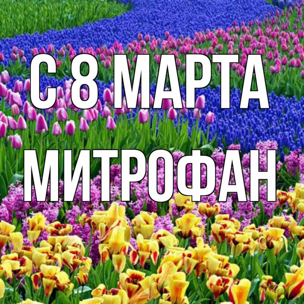 Открытка на каждый день с именем, Митрофан С 8 марта цветы Прикольная открытка с пожеланием онлайн скачать бесплатно 