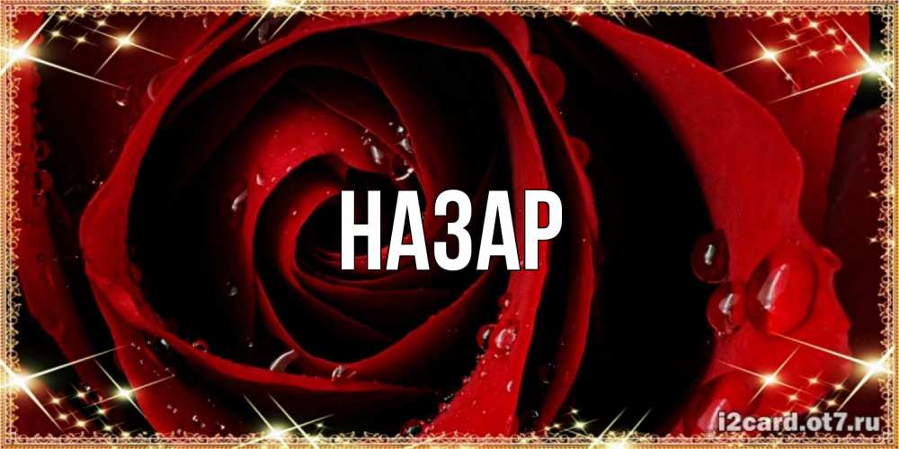 Открытка на каждый день с именем, Назар Главная цветок в росе на день рождения Прикольная открытка с пожеланием онлайн скачать бесплатно 