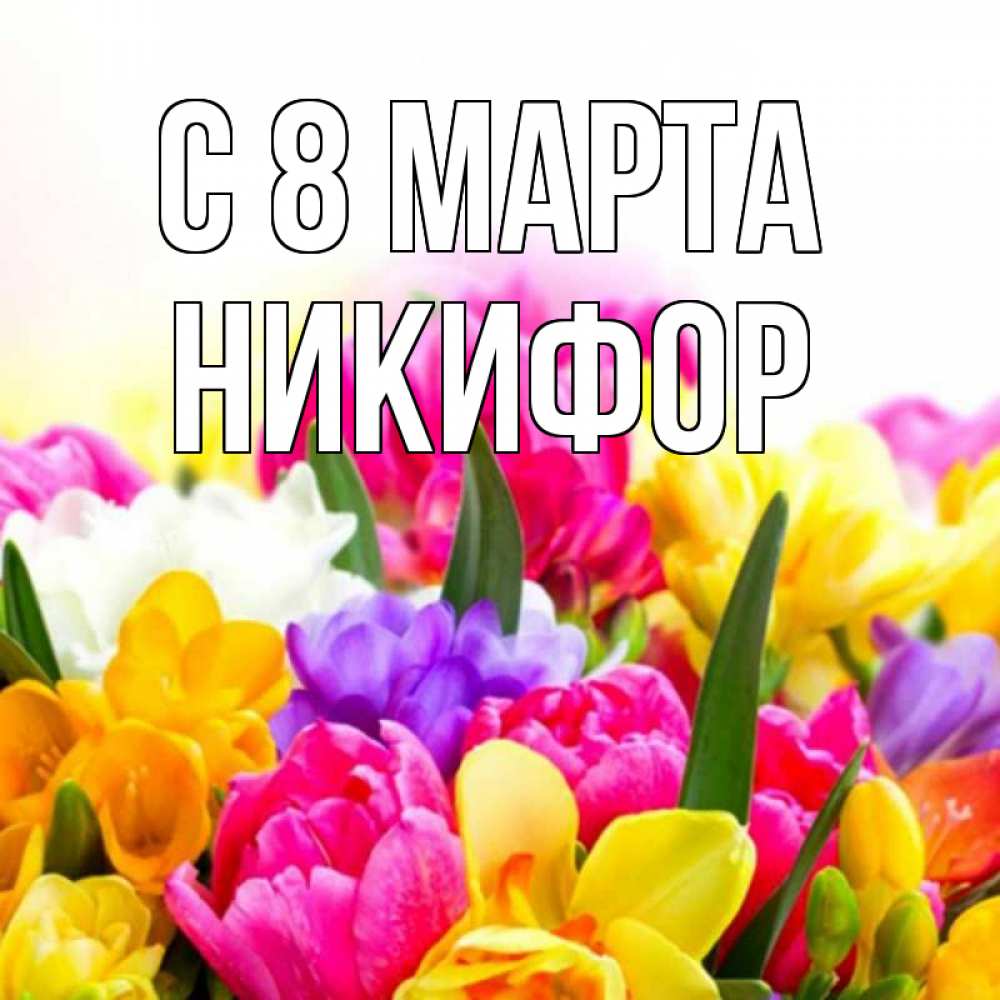 Открытка на каждый день с именем, Никифор С 8 МАРТА тюльпаны Прикольная открытка с пожеланием онлайн скачать бесплатно 