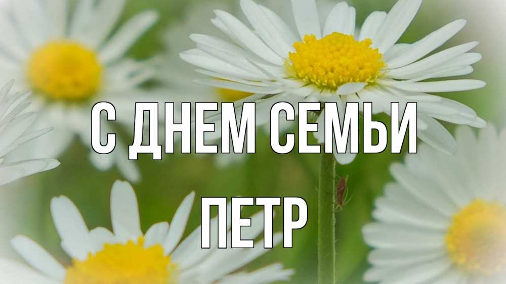 Открытка на каждый день с именем, Петр С днем семьи с днем семьи  1 Прикольная открытка с пожеланием онлайн скачать бесплатно 