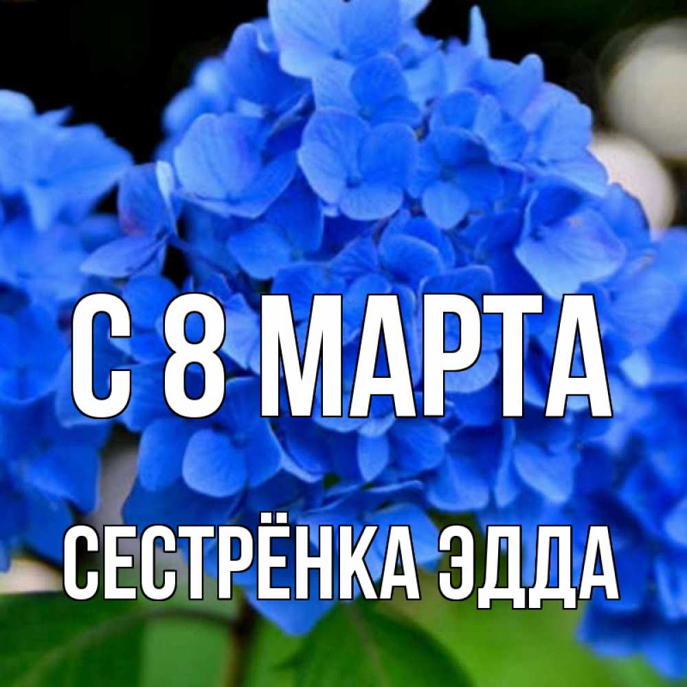 Открытка на каждый день с именем, Сестрёнка-Эдда С 8 марта синие цветы Прикольная открытка с пожеланием онлайн скачать бесплатно 