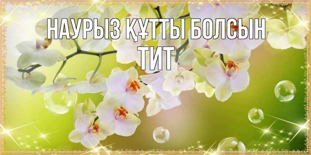 Открытка на каждый день с именем, Тит Наурыз құтты болсын открытка с цветами на наурыз наурыз день Прикольная открытка с пожеланием онлайн скачать бесплатно 
