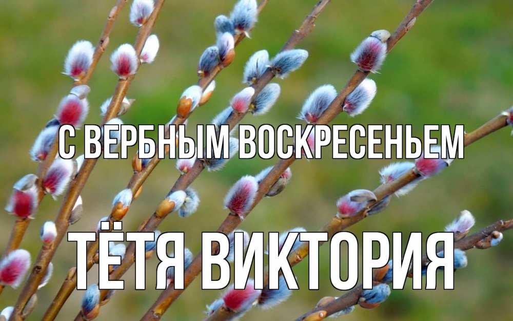 Открытка на каждый день с именем, Тётя-Виктория С вербным воскресеньем верба Прикольная открытка с пожеланием онлайн скачать бесплатно 