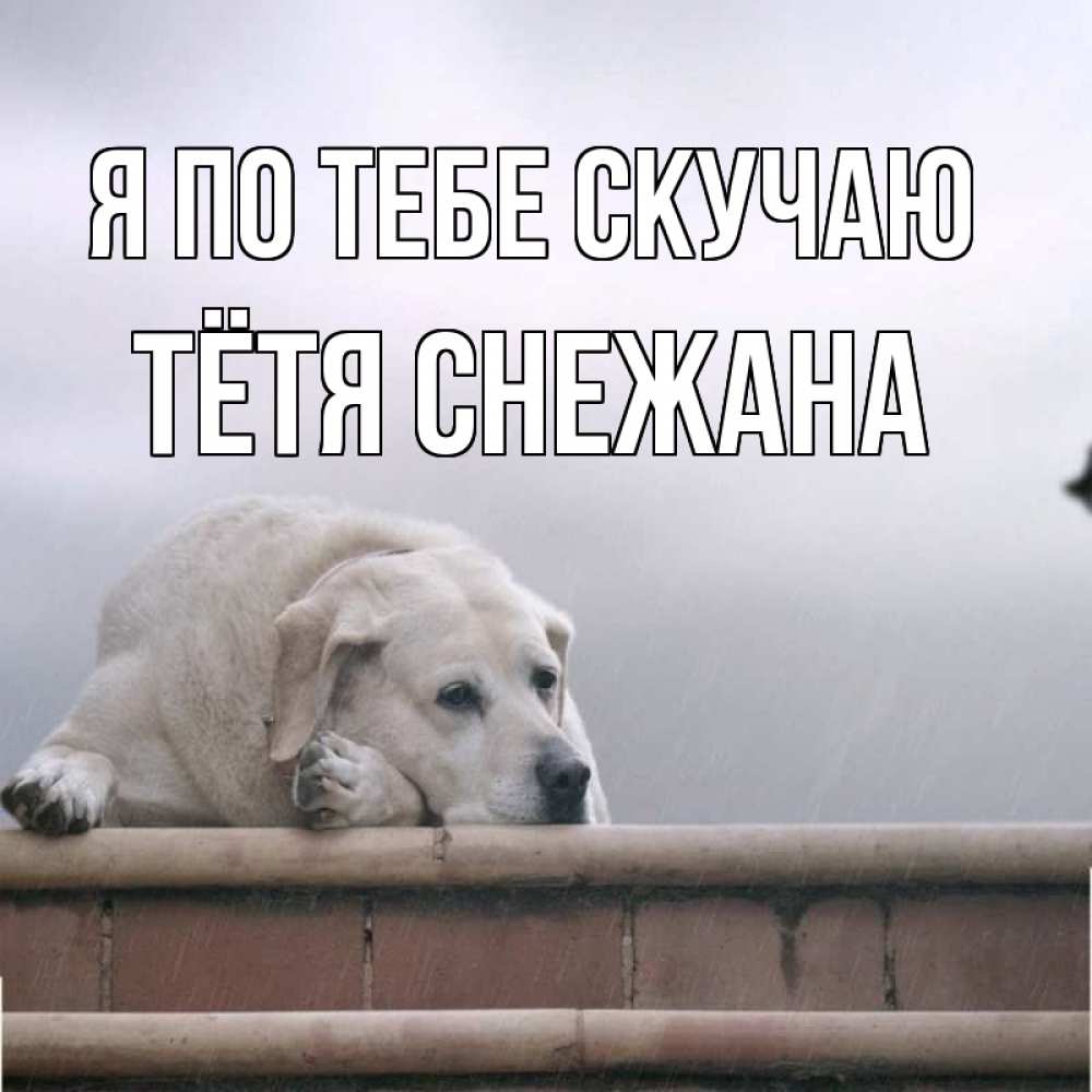 Открытка на каждый день с именем, Тётя-Снежана Я по тебе скучаю ждет Прикольная открытка с пожеланием онлайн скачать бесплатно 