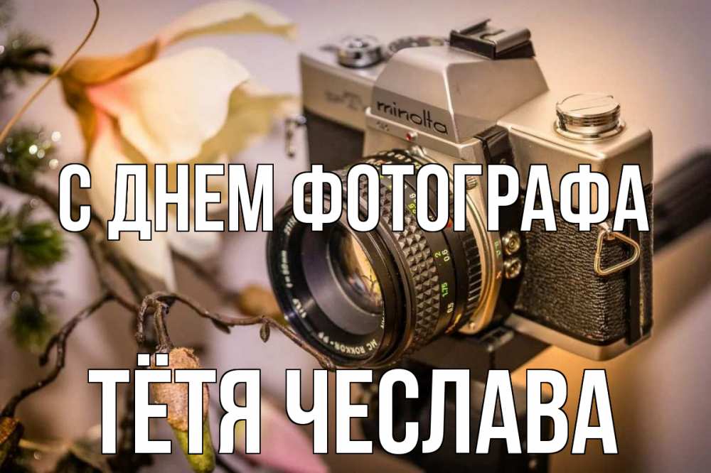 Открытка на каждый день с именем, Тётя-Чеслава С днем фотографа с днем фотографа 1 Прикольная открытка с пожеланием онлайн скачать бесплатно 