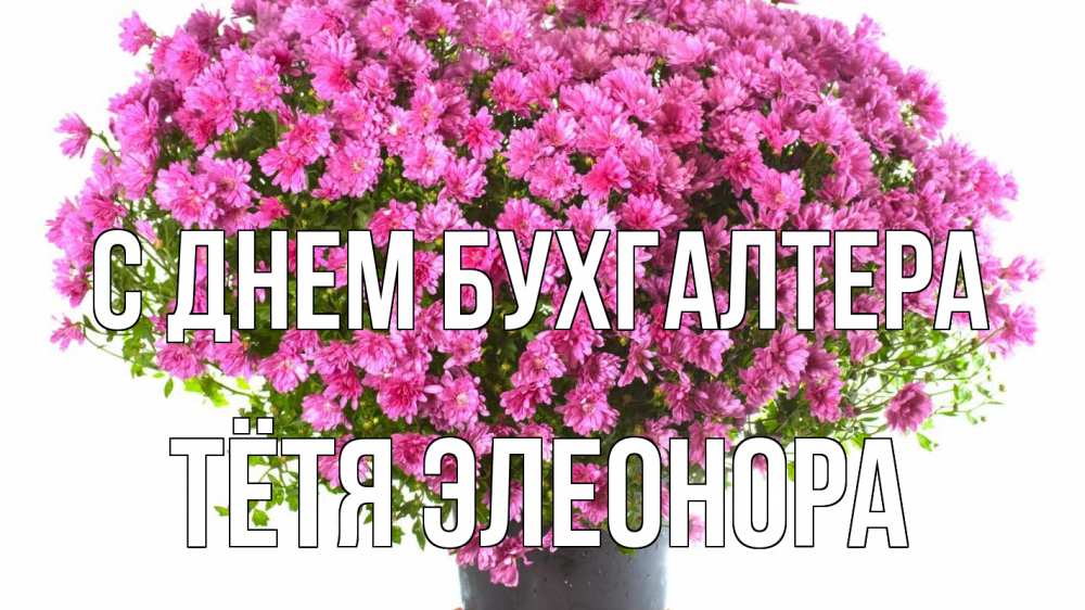 Открытка на каждый день с именем, Тётя-Элеонора С днем бухгалтера с днем бухгалтера Прикольная открытка с пожеланием онлайн скачать бесплатно 