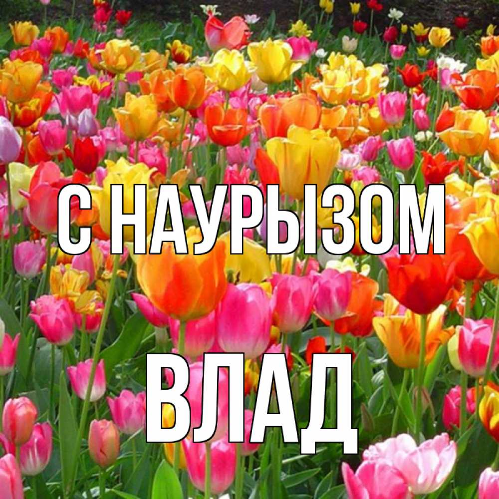 Картинка С наурызом, Влад