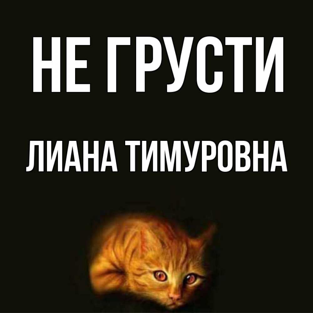 Открытка на каждый день с именем, Лиана-Тимуровна Не грусти лежащий кот в темноте Прикольная открытка с пожеланием онлайн скачать бесплатно 