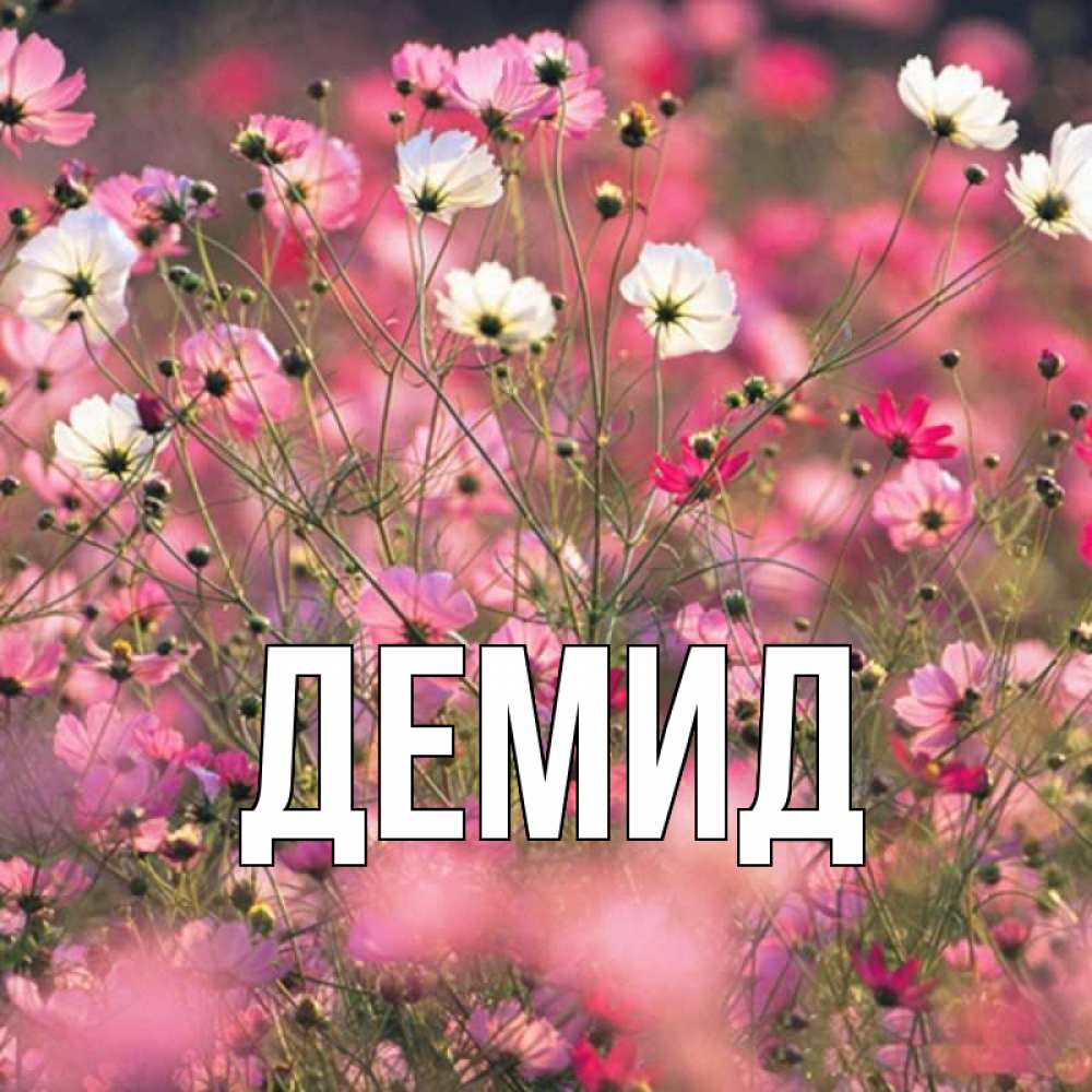 Яна добрый день