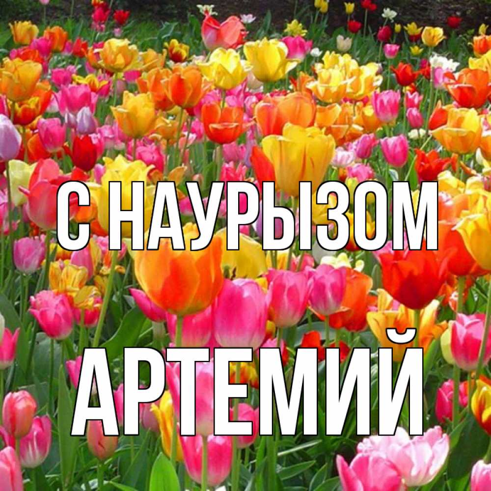 Открытка на каждый день с именем, Артемий С наурызом праздник весны наурыз 4 Прикольная открытка с пожеланием онлайн скачать бесплатно 