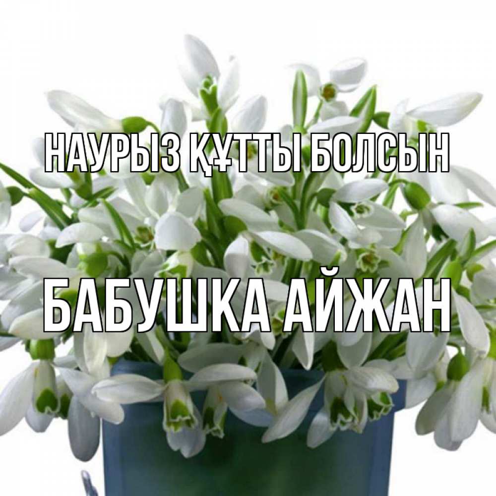 Открытка на каждый день с именем, Бабушка-Айжан Наурыз құтты болсын цветы к наурызу Прикольная открытка с пожеланием онлайн скачать бесплатно 