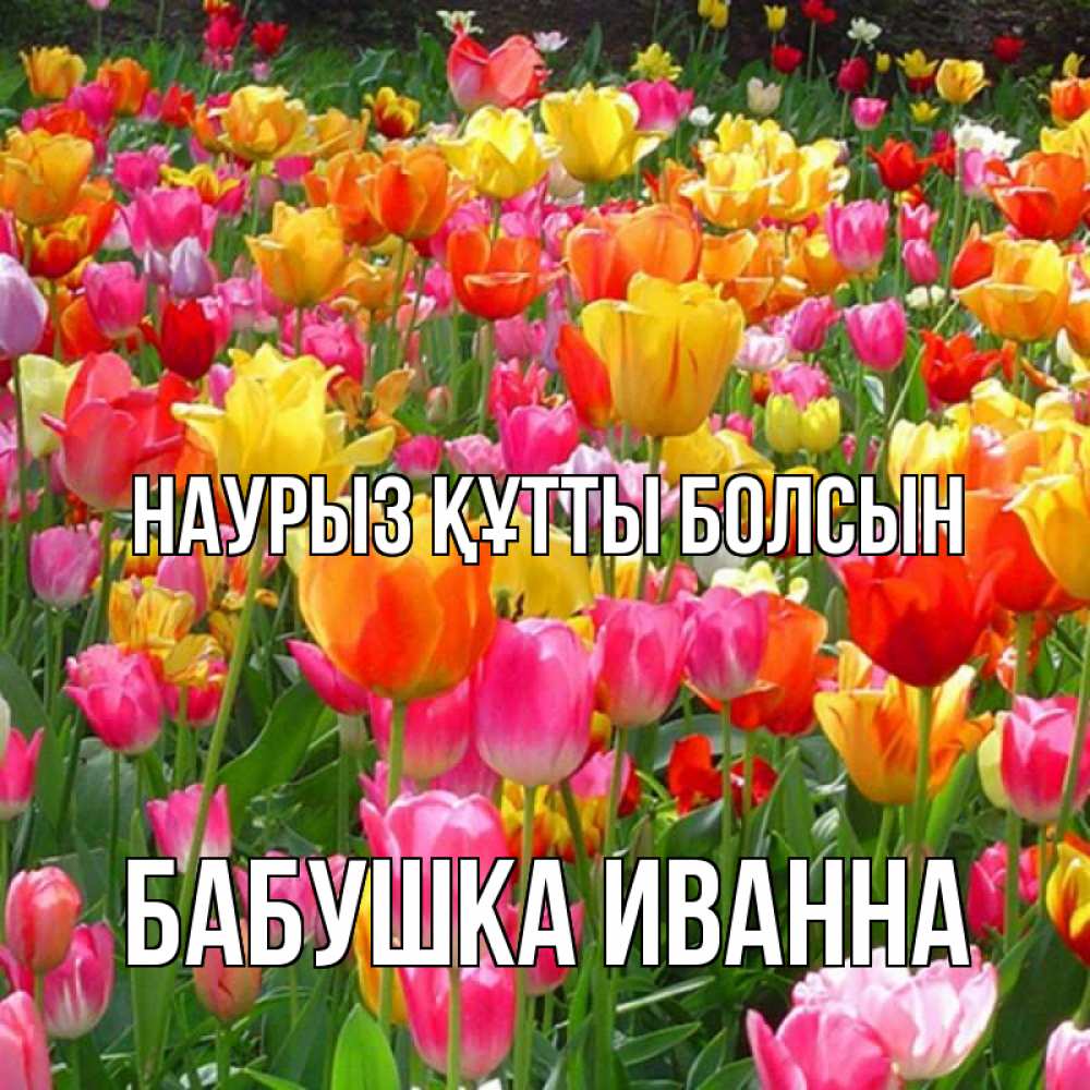 Открытка на каждый день с именем, Бабушка-Иванна Наурыз құтты болсын на наурыз  ура ура Прикольная открытка с пожеланием онлайн скачать бесплатно 