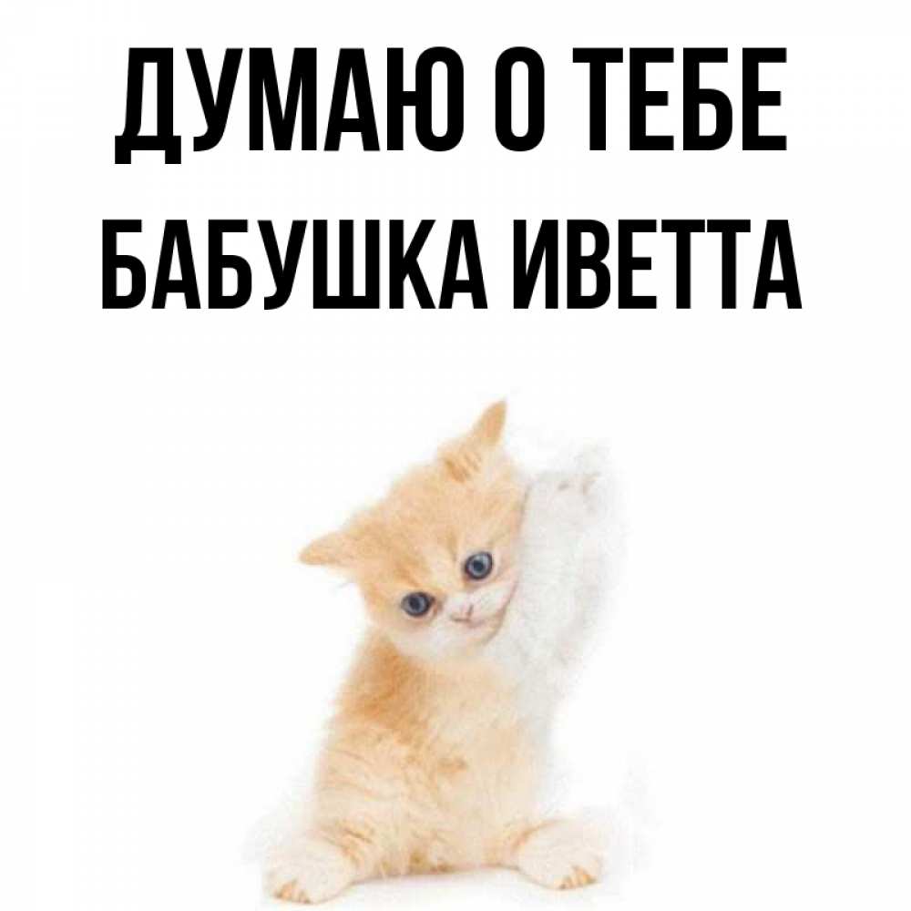 Открытка на каждый день с именем, Бабушка-Иветта Думаю о тебе зверушки и милота Прикольная открытка с пожеланием онлайн скачать бесплатно 