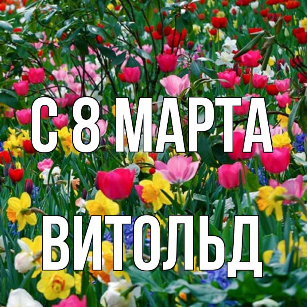 Открытка на каждый день с именем, Витольд С 8 МАРТА с международным женским днем поздравления для женщины Прикольная открытка с пожеланием онлайн скачать бесплатно 