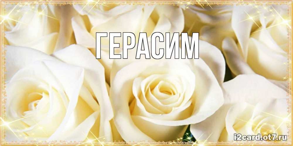 Открытка на каждый день с именем, Герасим Главная розочки белого цвета на открытке Прикольная открытка с пожеланием онлайн скачать бесплатно 