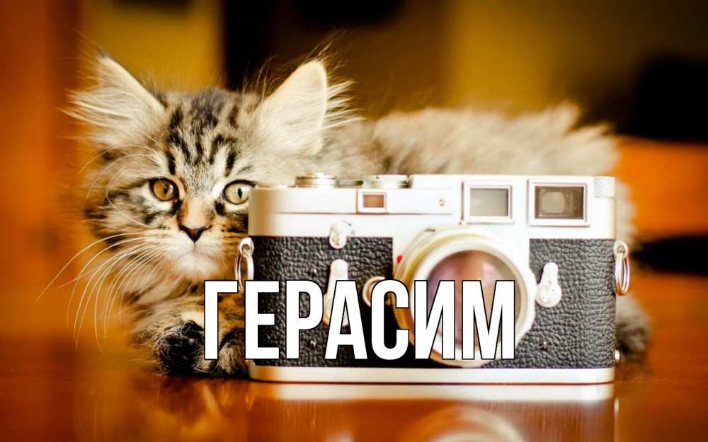 Открытка на каждый день с именем, Герасим Главная с днем фотографа Прикольная открытка с пожеланием онлайн скачать бесплатно 