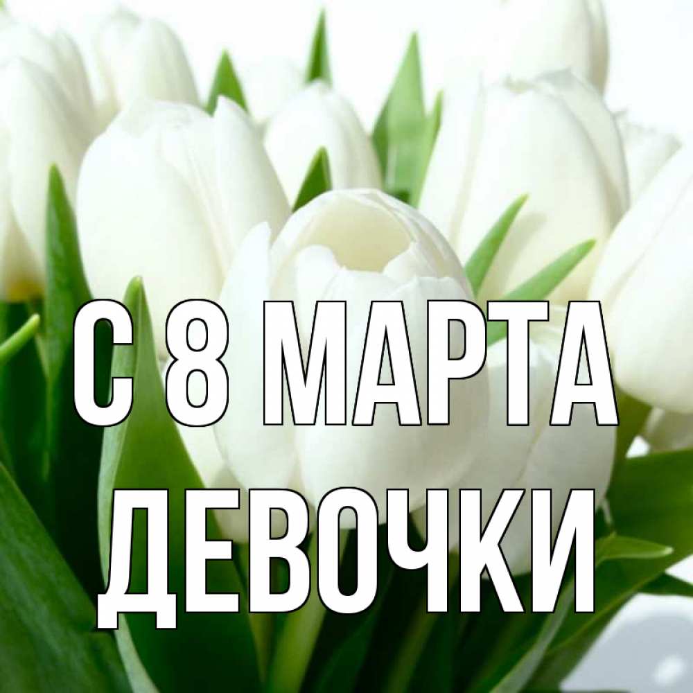 Открытка на каждый день с именем, ДЕВОЧКИ С 8 марта цветы Прикольная открытка с пожеланием онлайн скачать бесплатно 