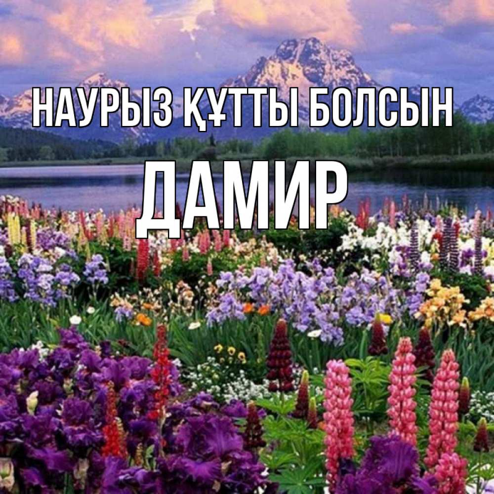 Открытка на каждый день с именем, Дамир Наурыз құтты болсын наурыз Прикольная открытка с пожеланием онлайн скачать бесплатно 