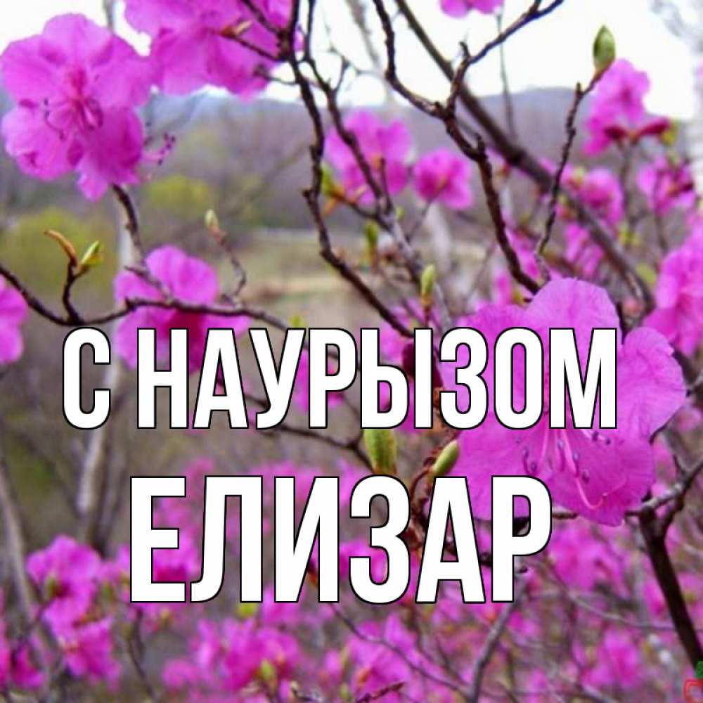 Открытка на каждый день с именем, Елизар С наурызом праздник весны наурыз Прикольная открытка с пожеланием онлайн скачать бесплатно 