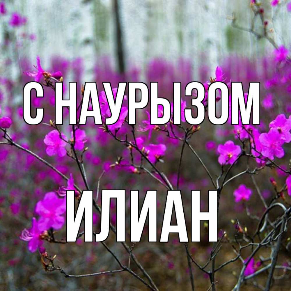 Открытка на каждый день с именем, Илиан С наурызом дикие цветы Прикольная открытка с пожеланием онлайн скачать бесплатно 