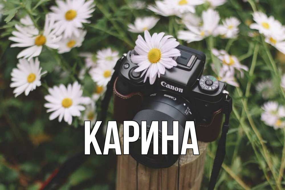 Открытка на каждый день с именем, Карина Главная с днем фотографа Прикольная открытка с пожеланием онлайн скачать бесплатно 