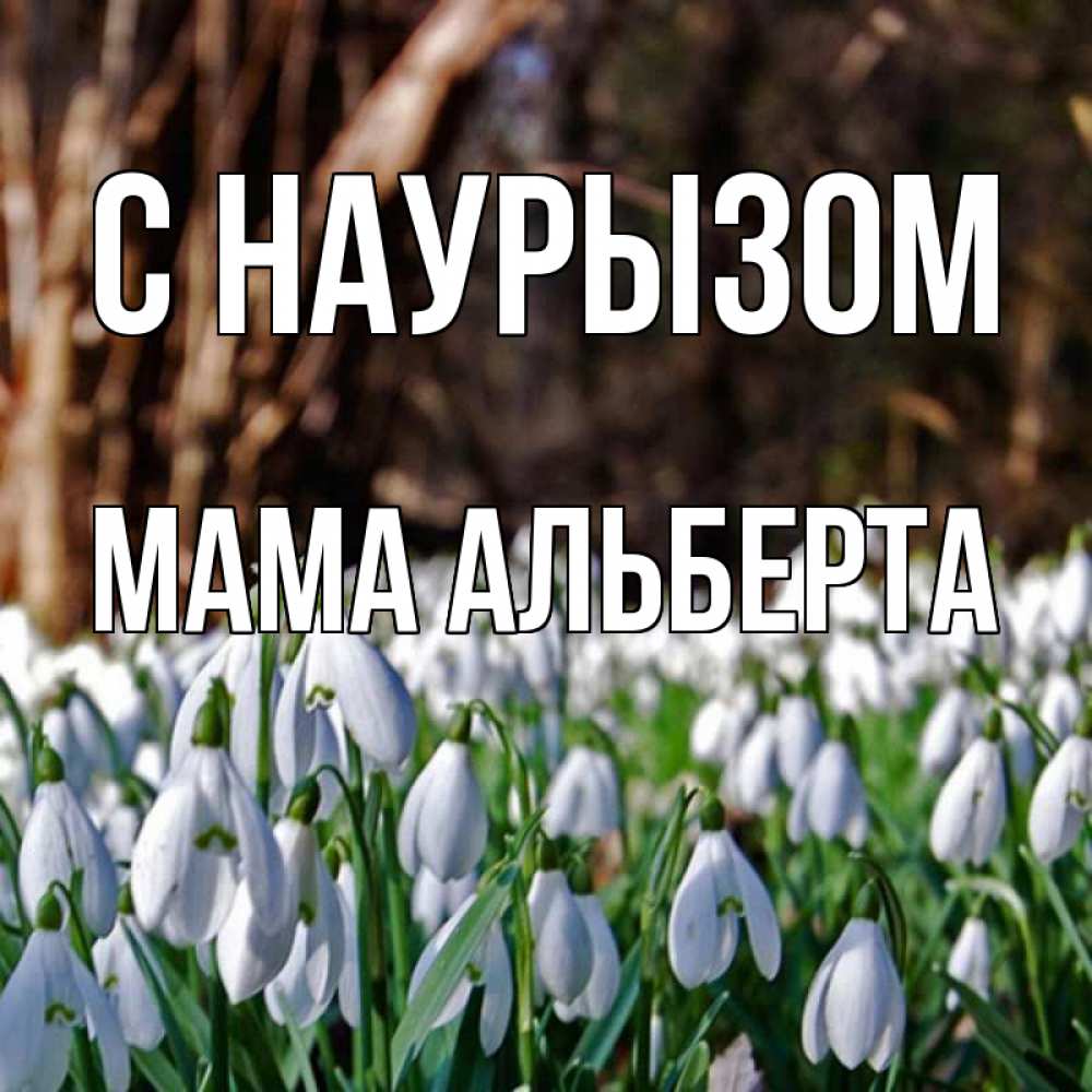 Открытка на каждый день с именем, Мама-Альберта С наурызом с подснежниками 1 Прикольная открытка с пожеланием онлайн скачать бесплатно 