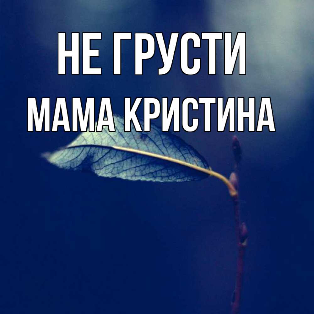 Открытка на каждый день с именем, Мама-Кристина Не грусти растение Прикольная открытка с пожеланием онлайн скачать бесплатно 