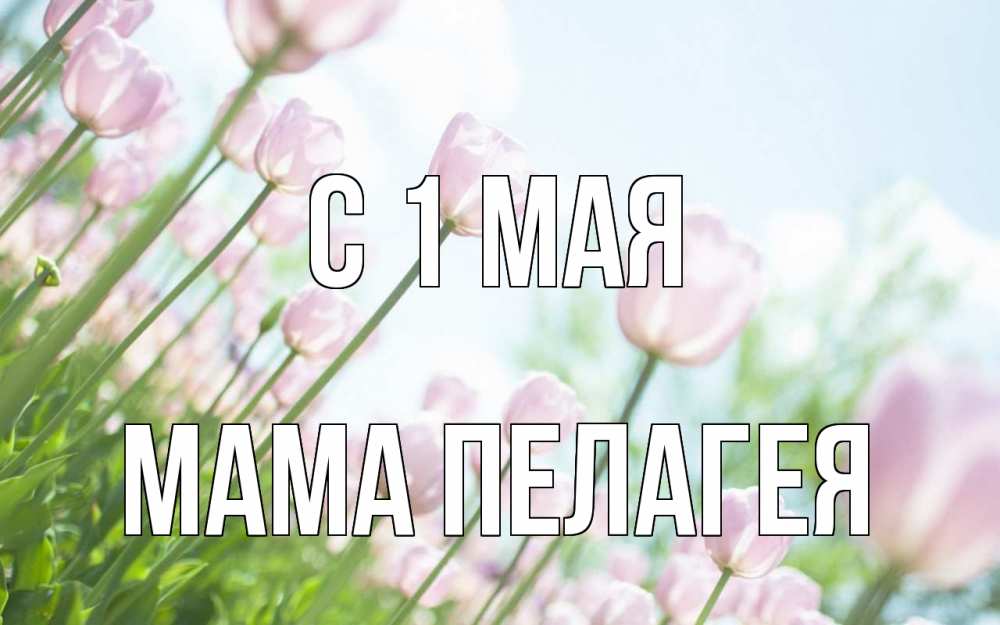 Открытка на каждый день с именем, Мама-Пелагея С 1 мая С 1 мая Прикольная открытка с пожеланием онлайн скачать бесплатно 